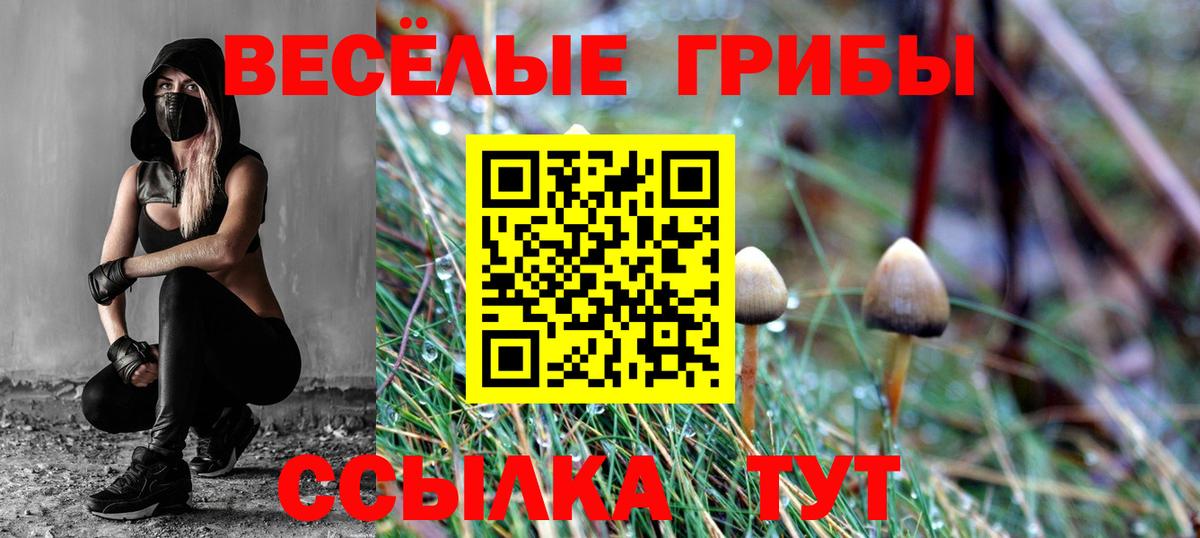 Галлюциногенные грибы Cubensis  Вход с VPN  Ливны 