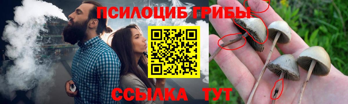 Галлюциногенные грибы прущие грибы Ливны